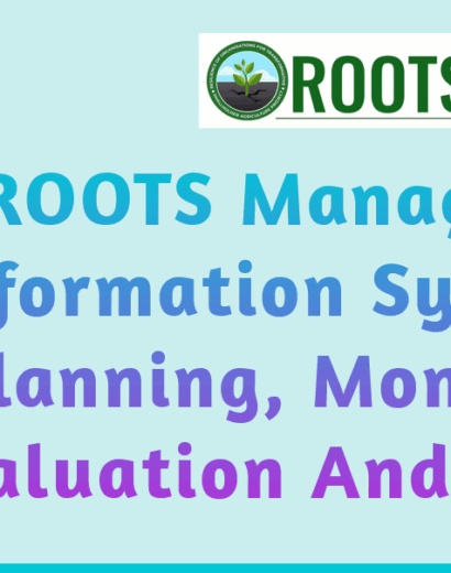 roots